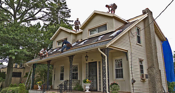 Best Flat Roof Repair Services  in Elyria, OH